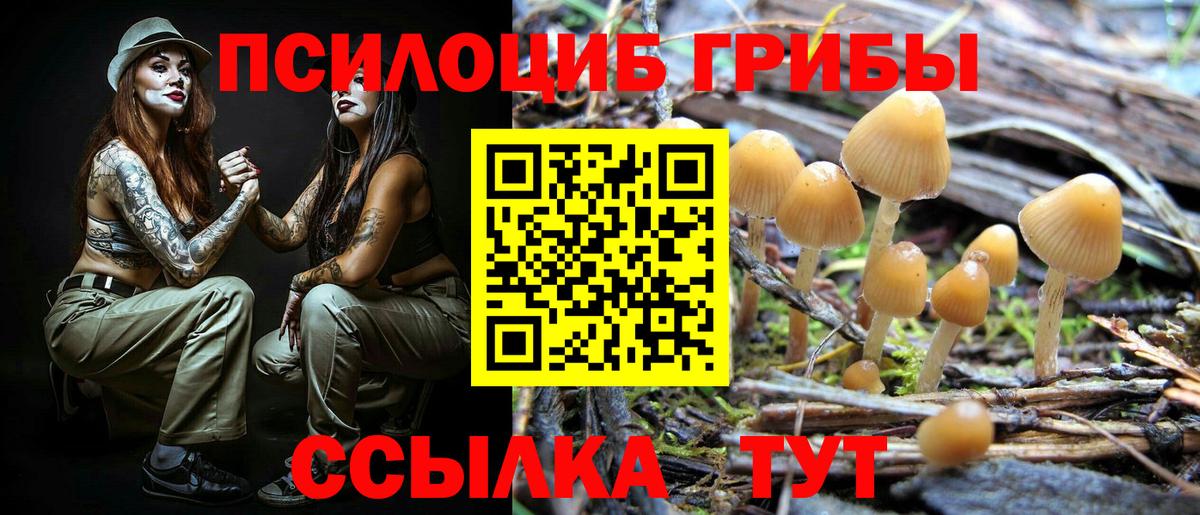 Псилоцибиновые грибы Psilocybine cubensis  Вход с VPN  Углич 